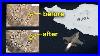 How Israel Strikes Iran Military Targets Before U0026 After Google Maps Israel Iran