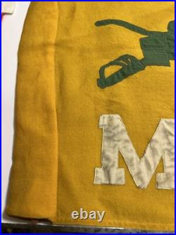 Korean War US Army 6th Armored Cavalry Regiment Troop MED Guidon