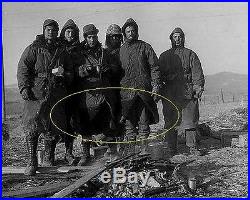 Korean war USMC Marine Chosin Reservoir M1947 M1948 Shell Parka Coat Jacket